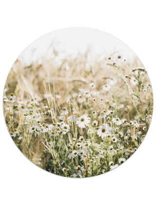 Muurcirkel (binnen) foto bloemenveld - 3 formaten