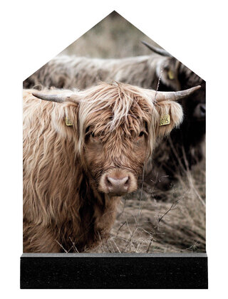 Huisje met foto Schotse hooglander