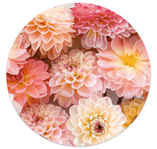 Muurcirkel beige met foto  dahlia's