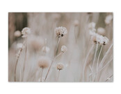 Inductiebeschermer - beige met bloemen