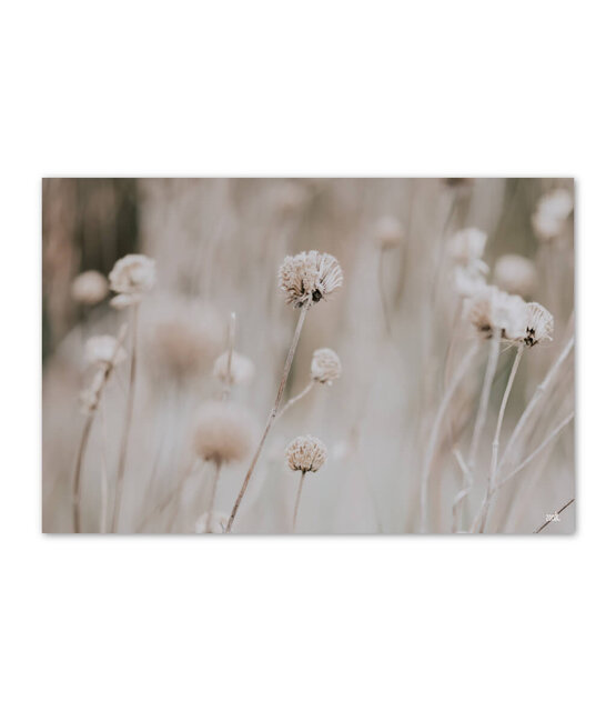 Inductiebeschermer - beige met bloemen