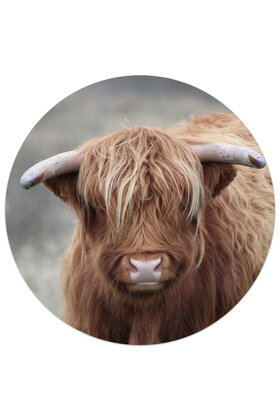 Muismat vinyl - afbeelding Schotse hooglander