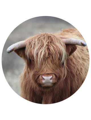 Muismat vinyl - afbeelding Schotse hooglander