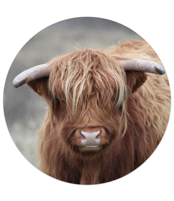 Muismat vinyl - afbeelding Schotse hooglander 25cm Muismat vinyl - afbeelding Schotse hooglander 25cm