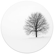 Muurcirkel foto boom