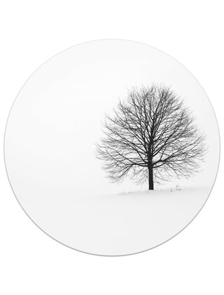 Muurcirkel (binnen) foto boom - 3 formaten