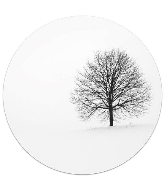 Muurcirkel foto boom