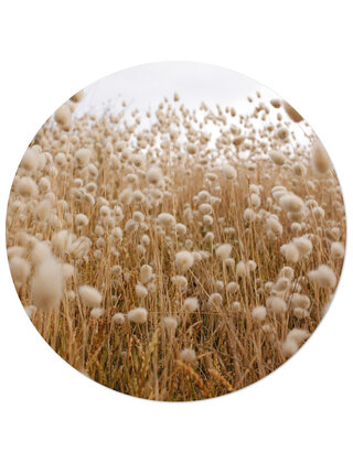 Muurcirkel (binnen) foto rietveld - 3 formaten