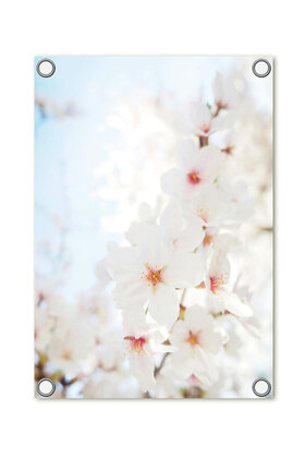 Tuinposter foto met bloesem