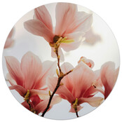 Tuincirkel/muurcirkel foto met magnolia perfect als wanddecoratie voor buiten en binnen
