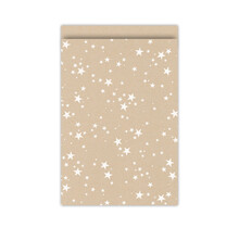 Cadeauzakjes set van 5 - kraft met witte sterren