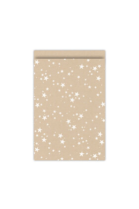Cadeauzakjes kerst set van 5 - kraft met witte sterren