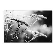 Inductiebeschermer voor inductieplaat – zwart wit foto bloemen  – bescherming & decoratie