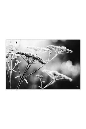 Inductiebeschermer zwart wit foto bloemen