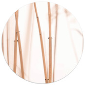 Muurcirkel met foto riet