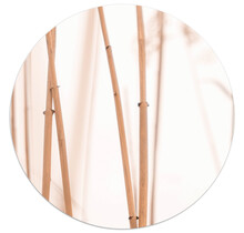 Muurcirkel met foto riet