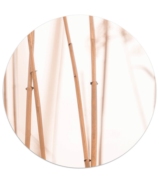 Muurcirkel met foto riet