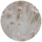 Tuincirkel foto beige bloemen – muurcirkel voor buiten