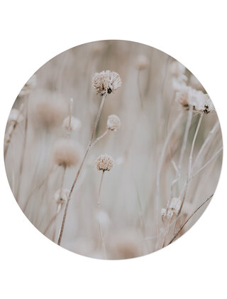 Tuincirkel foto - beige bloemen