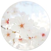 Tuincirkel foto bloesem – muurcirkel voor buiten