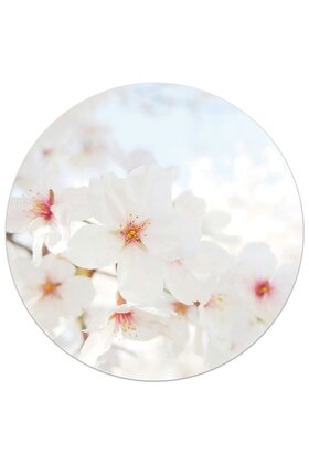 Tuincirkel foto - bloesem