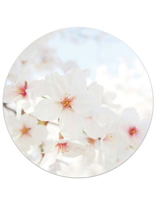 Tuincirkel foto - bloesem