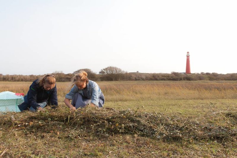 Werfzeep Schierzeep