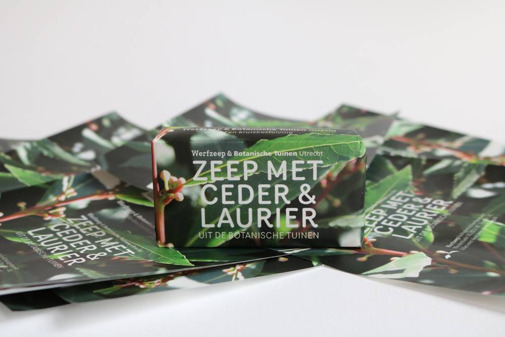 Werfzeep Botanische Tuinenzeep III - ceder & laurier