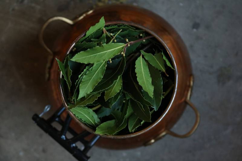 Werfzeep Botanische Tuinenzeep III - ceder & laurier