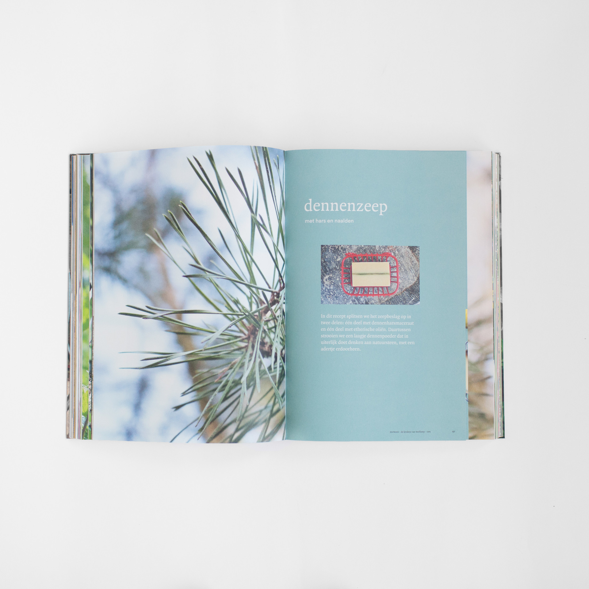 Werfzeep Soap book - making soap from scratch