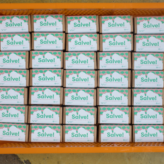 Werfzeep Salvezeep - Oude Hortus Utrecht