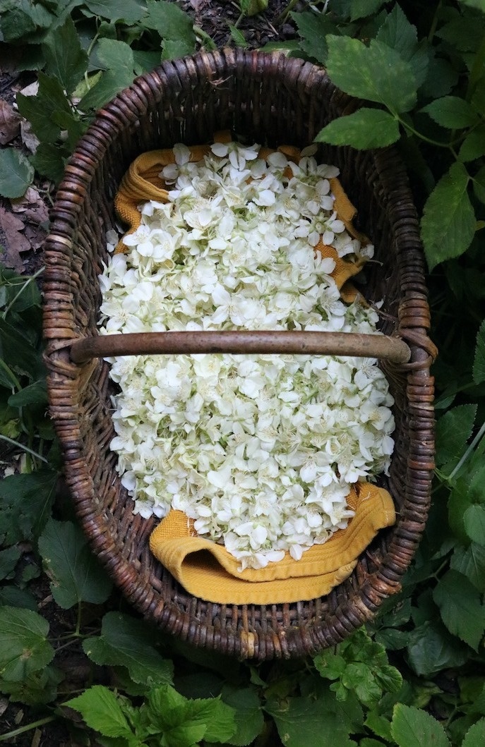 Werfzeep Seizoenszeep zomer | van bos tot bad