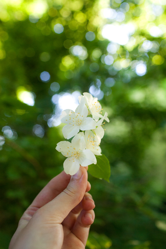 Werfzeep Seizoenszeep zomer | van bos tot bad