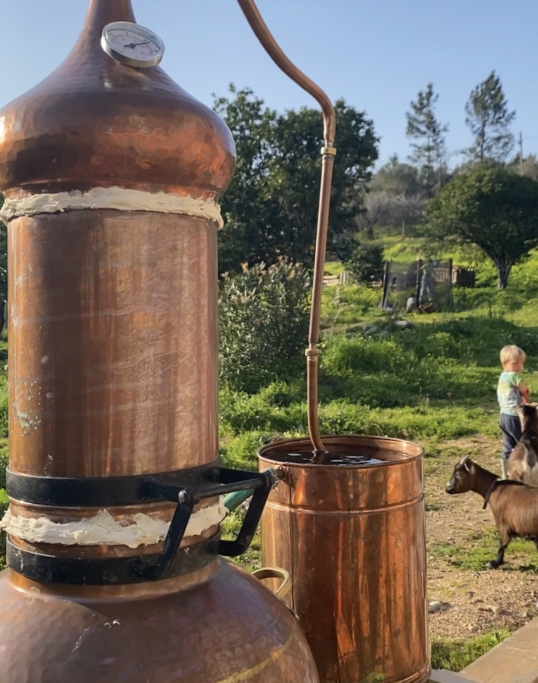 Werfzeep Stormzeep - benefietzeep voor nieuwe bomen