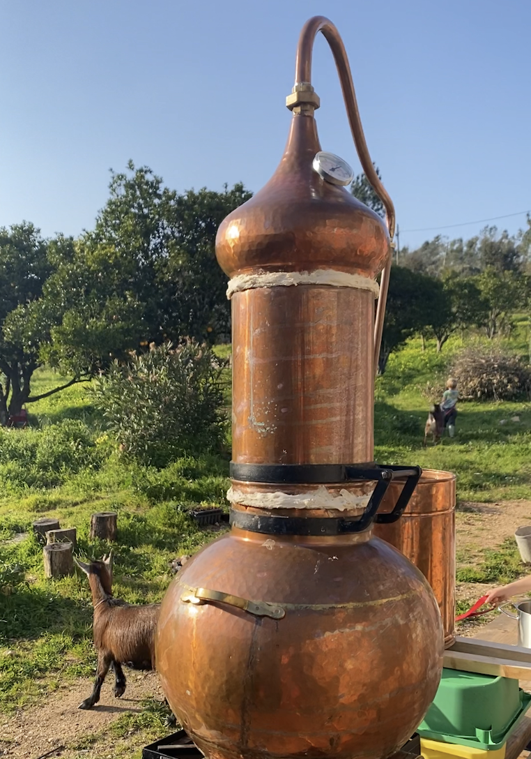 Werfzeep Stormzeep - benefietzeep voor nieuwe bomen