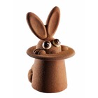 Pavoni Schokogiessform Magic Bunny