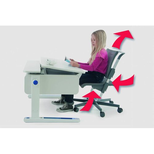 moll Scooter Schreibtischstuhl grau