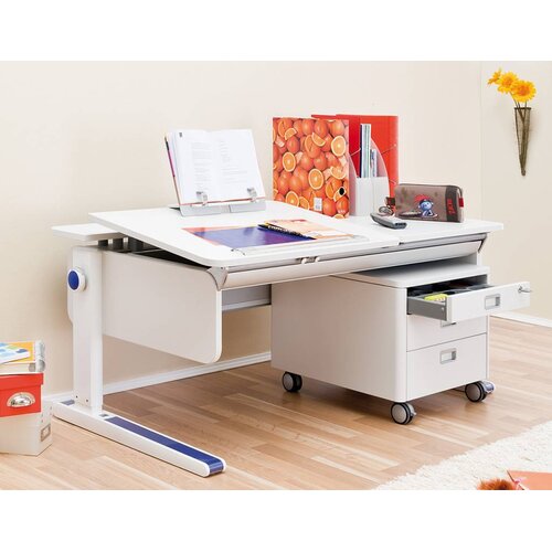 moll Champion Comfort Left Up Birke Multiplex