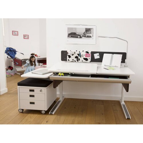 moll Champion Comfort Left Up Birke Multiplex