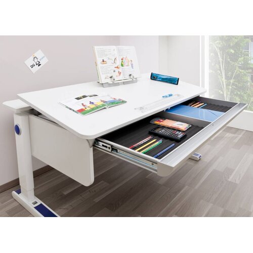 moll Champion Comfort Left Up Birke Multiplex