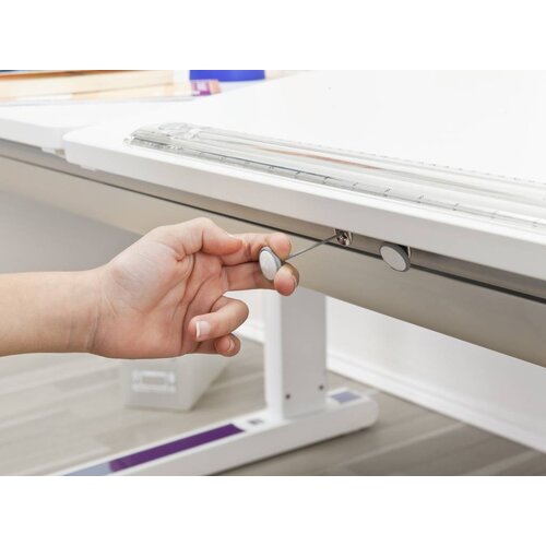 moll Champion Comfort Left Up Birke Multiplex