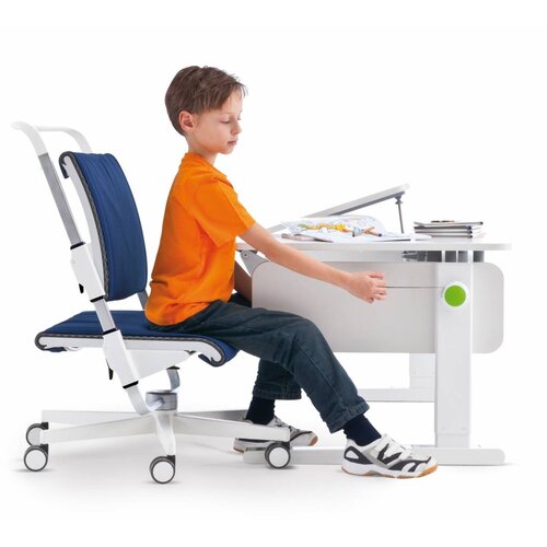 moll Champion Comfort Left Up Birke Multiplex