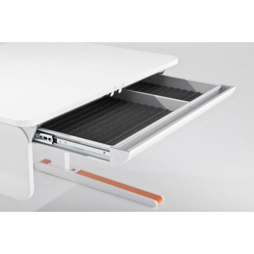 moll Schublade Champion