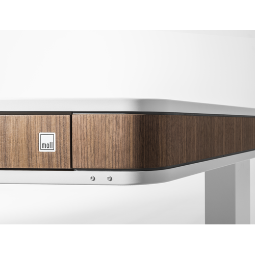 moll unique T8 writing desk moll unique T8 writing desk