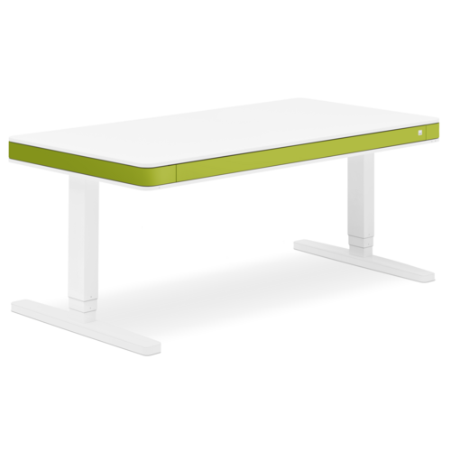 moll unique T8 L writing desk moll unique T8 L writing desk