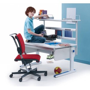 moll Champion Flex Deck CP