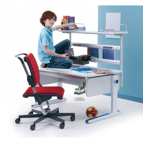 moll Champion Flex Deck CP