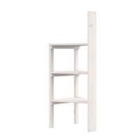 Ladder tower for slide whitewash