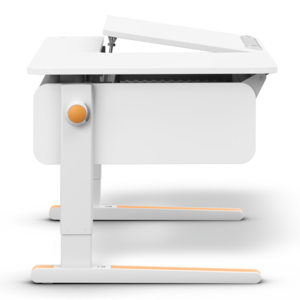 moll Champion Comfort Right Up