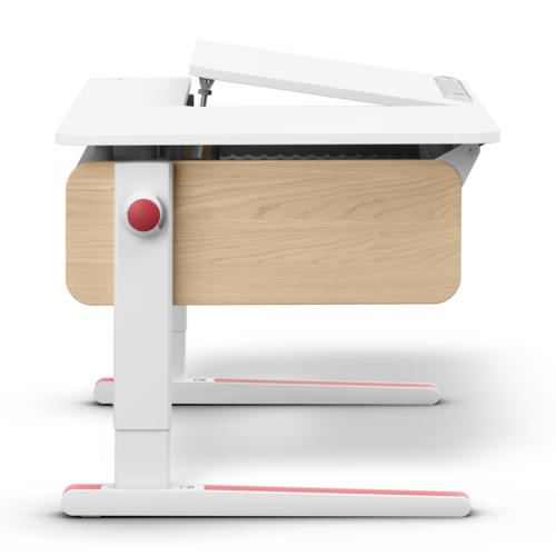 moll Champion Comfort Right Up